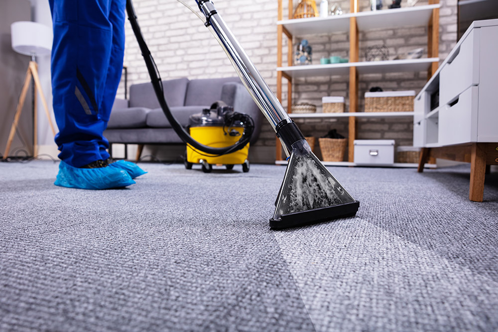 Fast-drying Carpet Cleaning Kingston